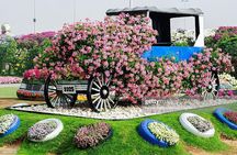 Dubai Miracle Garden Self-Guided Tour with Ticket with Transfer 