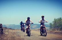 Mount Etna E-bike half-day tour