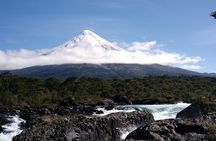 Private Day tour Petrohue Falls, Osorno Volcano & Puerto Varas
