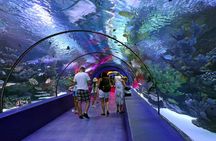 Antalya: Aquarium, Wax Museum, Snow World, Wild Park, XD Cinema
