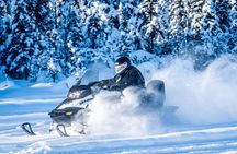 Guided Fairbanks Snowmobile Tour