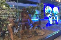 Lesedi , Sterkfontein Caves & Maropeng Centre Combination Tour