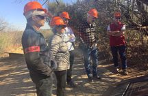 Lesedi , Sterkfontein Caves & Maropeng Centre Combination Tour