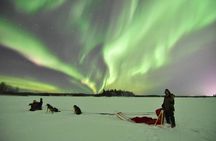 Dog Sledding and Mushing Experience in North Pole