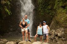 Road to Hana Tour