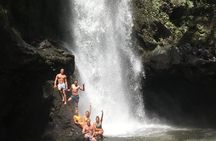 Road to Hana Tour