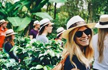 Private Tour to Coffee Farm Hacienda Coloma: Tickets, Guide, 8hr
