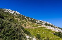 Peljesac Wine & Ston Oysters PRIVATE HALF DAY SHORE TOUR