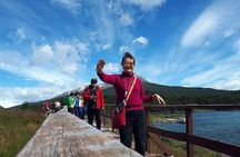 Tierra Del Fuego National Park Tour