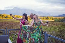 Constantia Winelands Private Wine Tour from Cape Town