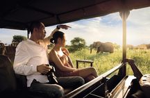 Kruger National Park Full Day Big 5 Safari Tour From Hazyview