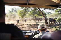 From Cape Town: 2-Nights, 3-Days Garden Route private tour