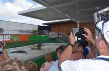 Everglades Air Boat Ride + Alligator Show.