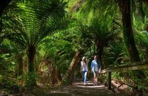 Great Ocean Road Private Tour