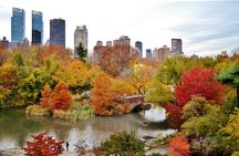 New York City Tour with Driver-Guide and Separate Guide Option