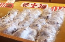 Super Sugamo Local Foodie Adventure