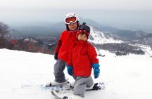 Private ski lesson for family or group(Transport included )