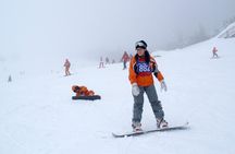 Private ski lesson for family or group(Transport included )