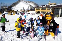Private ski lesson for family or group(Transport included )