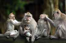 Private Shore Excursion: Customized Best of Bali Tour