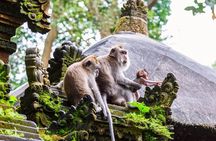 Ayung River Rafting and Tanah Lot Tour
