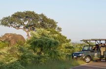 3-Day Kruger National Park Safari including Breakfast and Dinner
