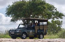 3-Day Kruger National Park Safari including Breakfast and Dinner