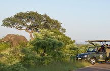 4-Day Kruger Park Safari & Panoramic Tour Combo including Breakfast and Dinner