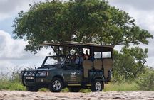 4-Day Kruger Park Safari & Panoramic Tour Combo including Breakfast and Dinner