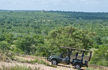 5-Day Kruger National Park Safari including Breakfast and Dinner