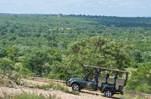 4-Day Kruger Park Safari & Panoramic Tour Combo including Breakfast and Dinner