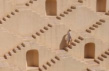 Jaipur Full Day 