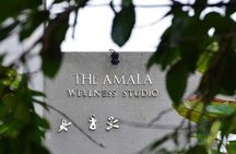 TULA Wellness Half Day Experience with Nadis Flow