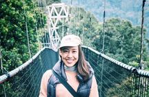 From Kigali: 2 Days Chimp trekking & Canopy Walk in Nyungwe NP