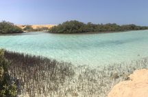 1 Day Private Trip to Ras Mohamed By Car From Sharm-el-Sheikh