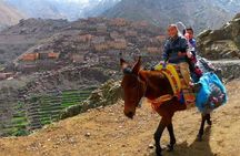 Cooking class with Berbers in atlas mountain day trip from marrakech to imlil