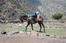 Cooking class with Berbers in atlas mountain day trip from marrakech to imlil