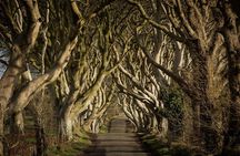 Giant's Causeway and Whisky Distillery tasting tour from Belfast 