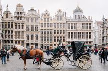 Brussels Half Day Tour with a Local Guide, Private & Custom 