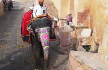 Jaipur Private City Tour By Car (All-Inclusive)