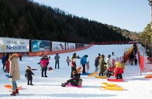 [Private Tour] Nami Island & Snow Viewing and Snow sled (More Members Less Cost)