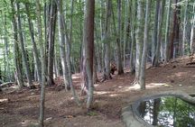 5 days: Nature and pure beauty of Bulgaria