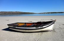 Cape West Coast Full Day Private Day Tour