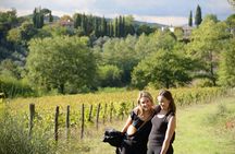 Hike & Wine Tour