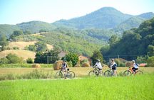 Tuscan countryside bike tour and food tasting