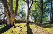 The Quieter side of Loch Ness