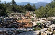 Karpathos Guided Hiking Tour Profitis Ilias Hike by Art and Walk