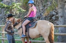 4 Hour Sulphur Mountain Horseback Ride