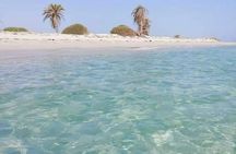 Tour of the island of Djerba the island of Lotophages