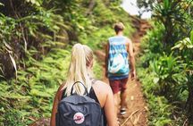 Private Full Day Tour to Nuwara Eliya from Kandy